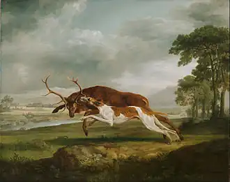 Hound Coursing a Stag (ca. 1762), oil on canvas, 100.1 x 125.8&nbsp;cm., Philadelphia Museum of Art