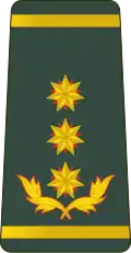 გენერალ ლეიტენანტი General leit’enant’i[21] (Georgian Land Forces)