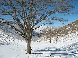 The Gerdoo Valley in winter