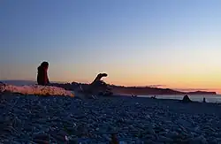 Gillespie Beach, Westland