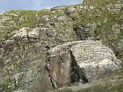 Nesting on Gjesvaerstappan