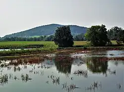 Chełm mountain seen from Godziszów, Silesian Foothills