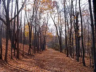 The paved, blue-blazed trail