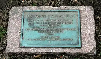 Plaque to the Great Elm tree