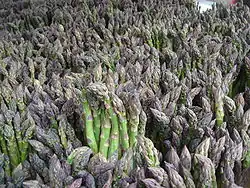 Green asparagus for sale in New York City