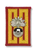Insignia of the Grenadiers' regiment