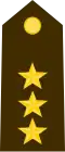 Colonel