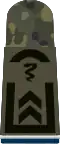 Oberfeldwebel SanOA (Army Veterinary Officer Candidate with the equivalent rank of Staff Sergeant)