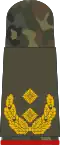 Generalmajor (field suit)