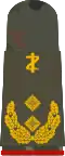 General­stabsarzt (dental medicine)