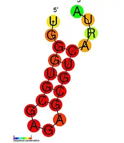 HIV_SL4: Secondary structure taken from the Rfam database. Family RF01382