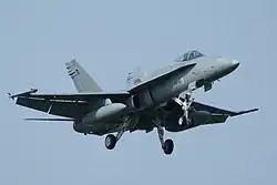 Finnish AF Boeing F-18C (Frisian Flag 2010)