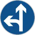 B46 Go straight or turn left