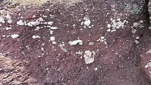 34°57′34.1″N 127°53′53.8″E / 34.959472; 127.898278