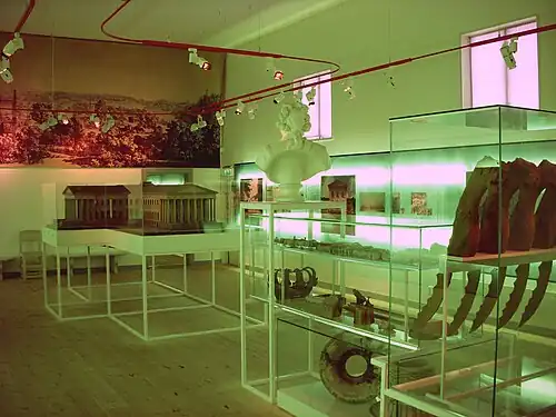 The model exhibited at the Haga Park museum