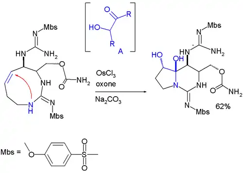 Hemiaminal formation in saxitox in synthesis
