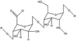 Repeating unit of the heparan sulfate substrate of β-glucuronidase