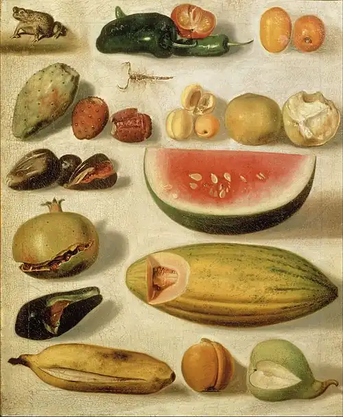 Image 12Hermenegildo Bustos, Still life with fruit, 1874 (from Frogs in culture)