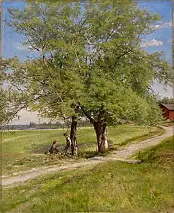 Crack Willows, 1897