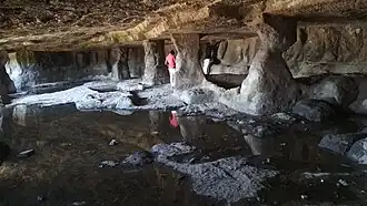 Horse and Elephant stables