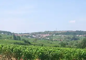 A general view of Montagny-lès-Buxy
