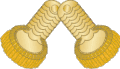 Colonel