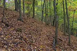 Indian Rock Trail on the slopes of Big Ridge