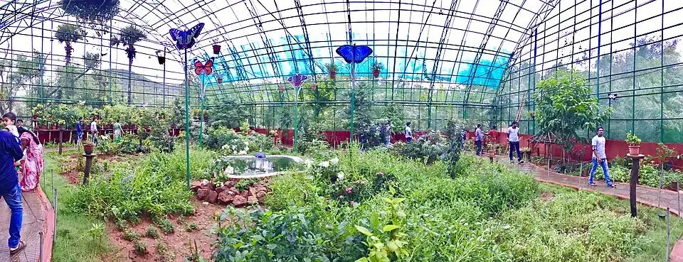 Inside Butterfly world