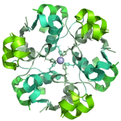 Cartoon diagram of an insulin glulisine dodecamer. The histidine residues coordinating the central zinc atom are shown as sticks, and the zinc atom itself as a pale blue sphere.