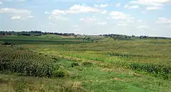Corn and soybean fields and pastures on rolling, hilly terrain.
