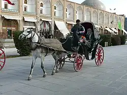 Horse shah abas square