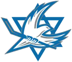 Shirt badge/Association crest