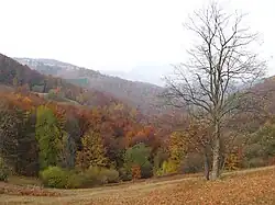 Mountain Jablanik in autumn