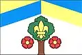 Flag of Jarov