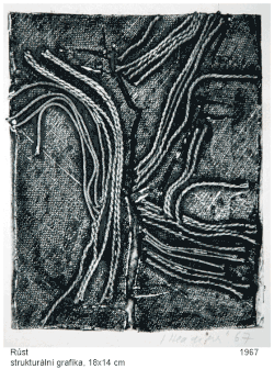Growth (structural print), 18 x 14&nbsp;cm, 1967