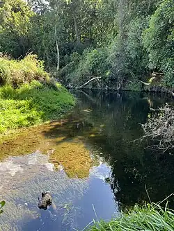 In Kaituna Valley Scenic Reserve