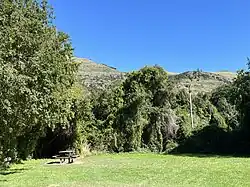 Picnic area in Kaituna Valley Scenic Reserve