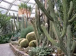 Botanischer Garten