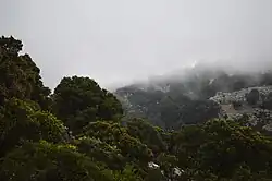Landscape in Katharo plateau