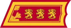 Kenraaliluutnantti Generallöjtnant[20] (Finnish Army)