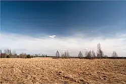 Koikküla, after a long winter, 2011