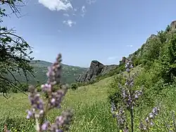 Nature near Komatinski Rocks, Bulgaria