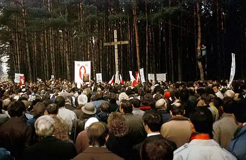 A large gathering at a forest