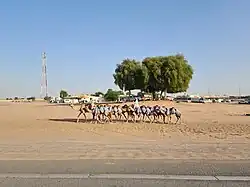 The village of Labsah