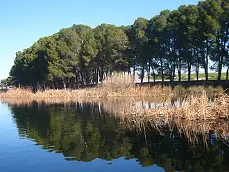 A body of water surrounded by trees.