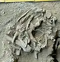Burial 11 - Excavation at exposition 6.