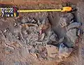Burial 22. Excavation at exposition 7.