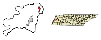 Location of Halls in Lauderdale County, Tennessee.