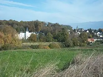 A general view of Lavardin, with the chateau