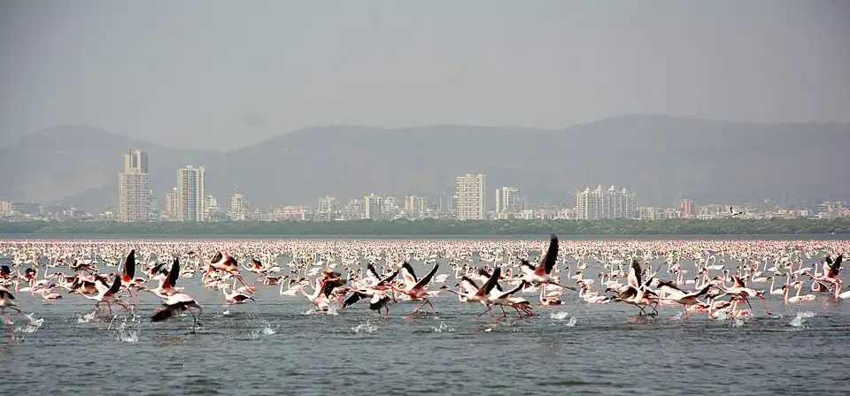 Thane city at a distance